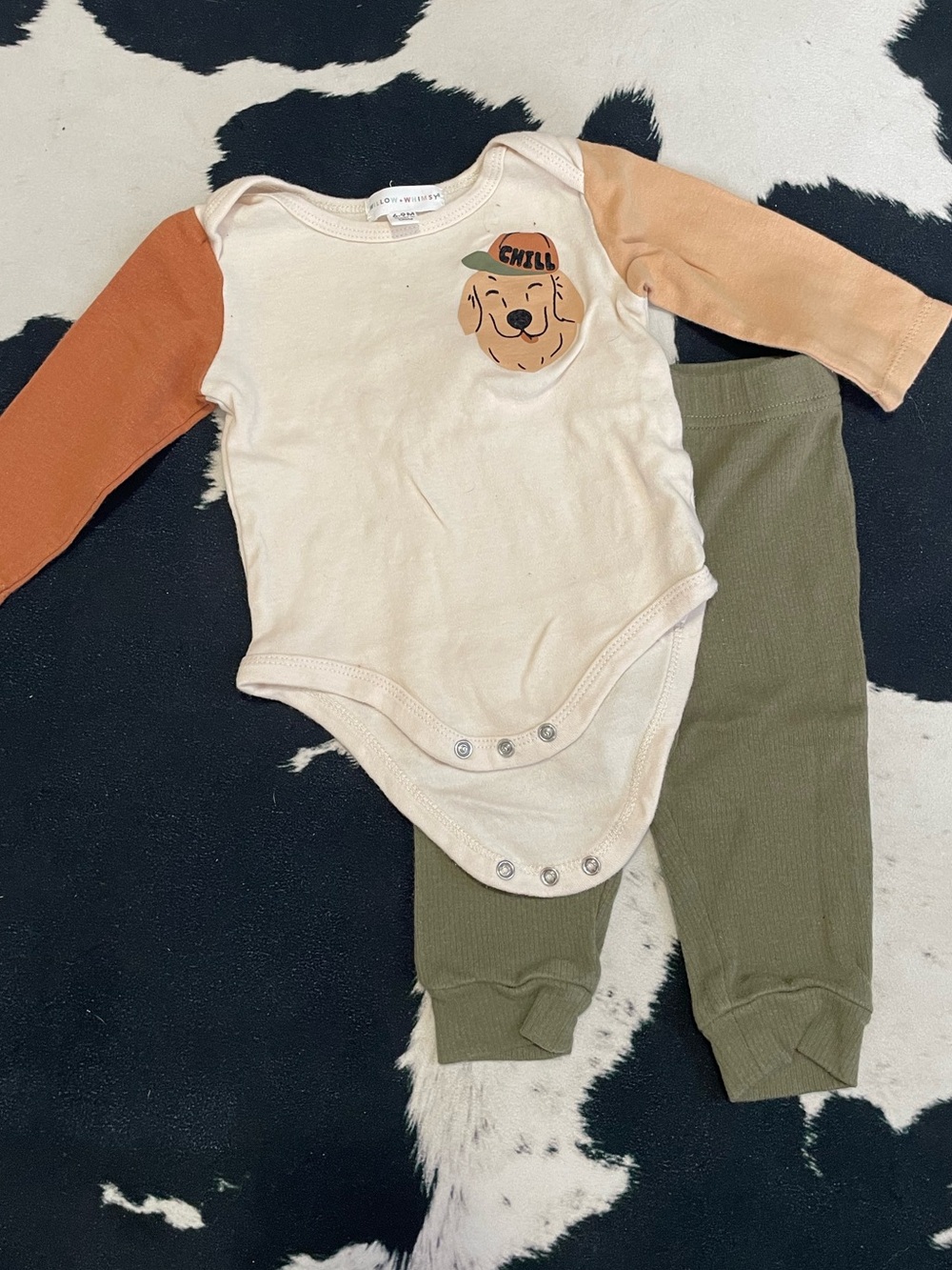 5/$20 Color Block Onesie with Dog Graphic